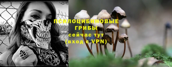 марки nbome Богородицк